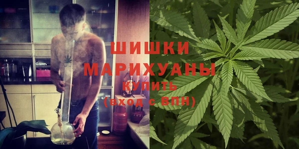 сатива Алексеевка