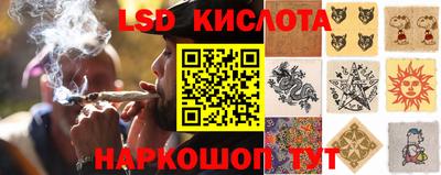 индика Кулебаки