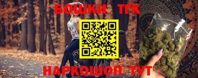 индика Кулебаки